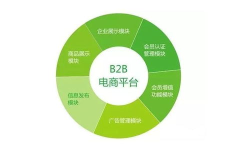 怎么做B2B电子商务系统搭建